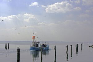 Fischfangnorth-sea-4716663_640_pixabay