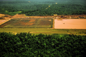Deforestation in the Amazon