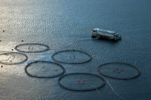 aquafarm_Erik Christensen angeben_wiki.1