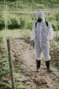 an asian chinese female farmer with protective suit spraying on bitter groud plants in the farm for disinfection