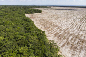 Deflorestation in Brazil