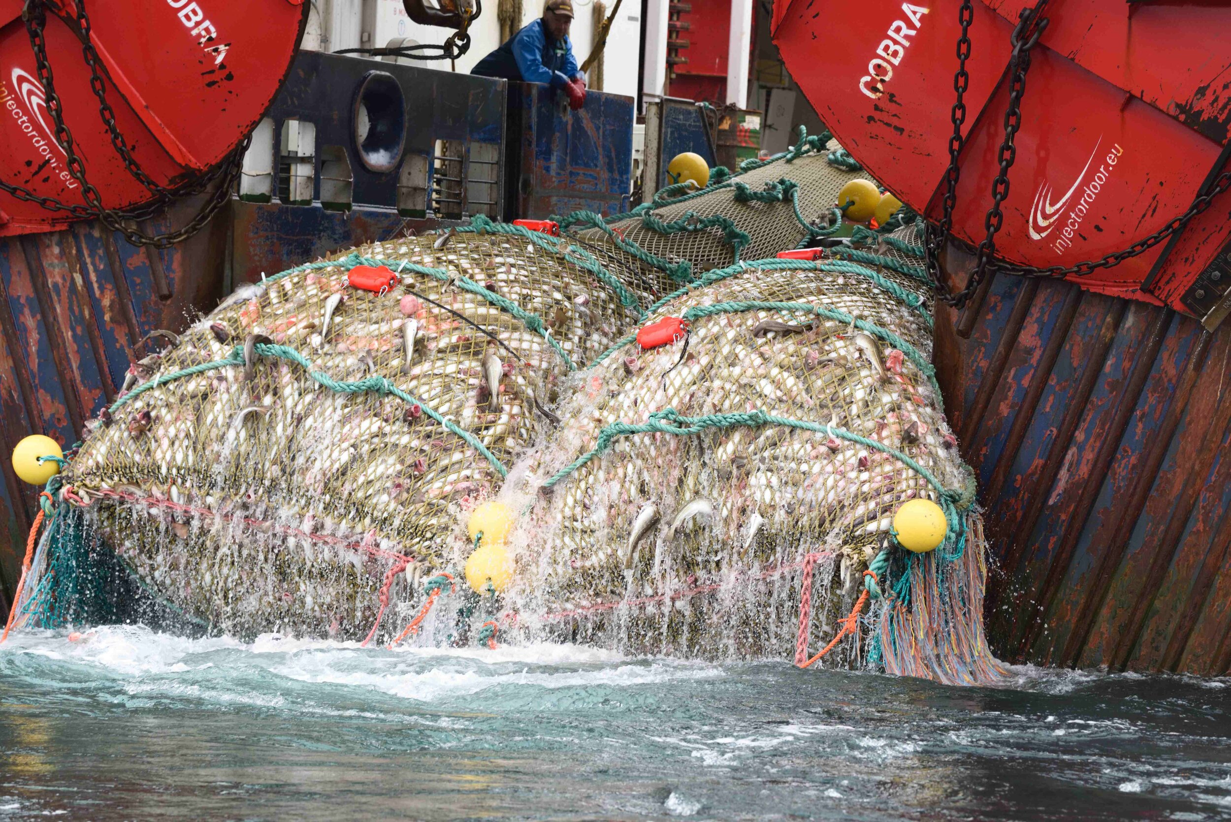 Fischerei schleppnetze_Carl Safina
